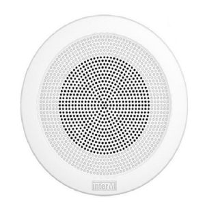 Haut-parleurs de plafond 3w 